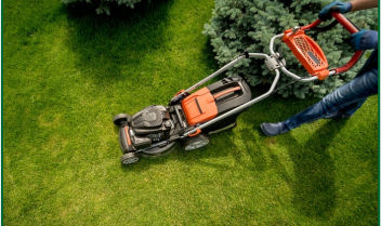 Lawn Maintenance