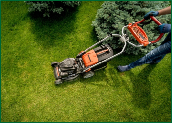 Lawn Maintenance