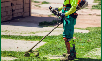 Lawn Management: