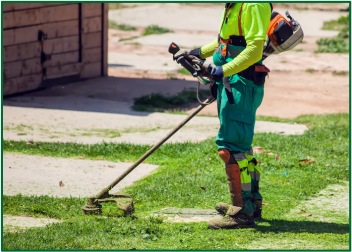 Lawn Management:
